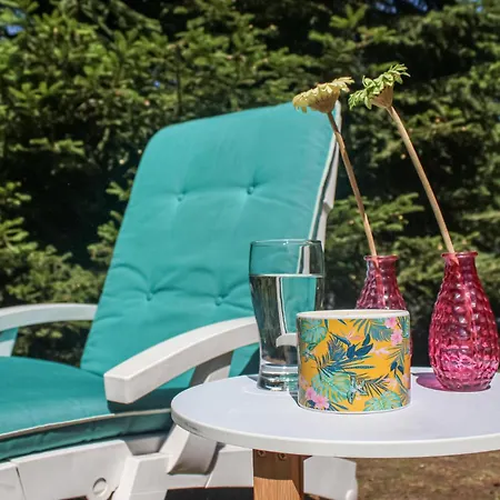 Gorgeous In With Kitchen Feriehus Vorden